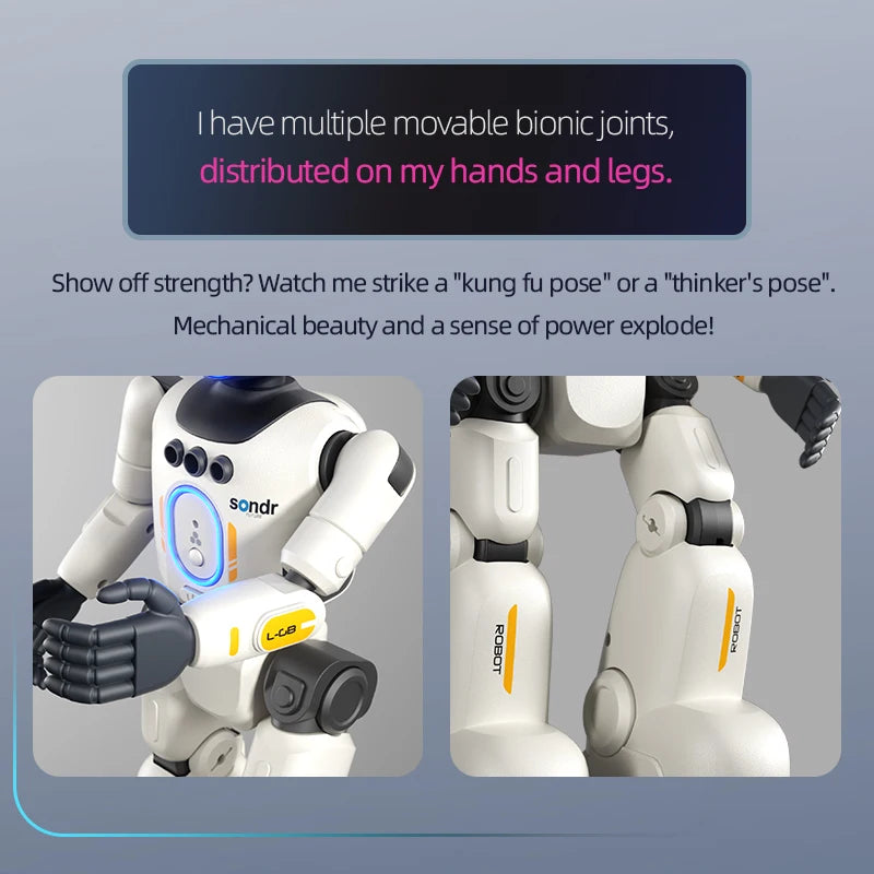 Remote-Control Dancing Robot | Braviixx
