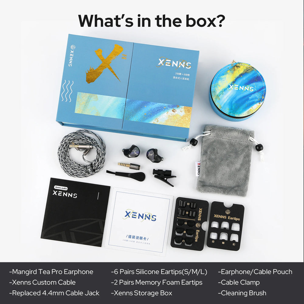 Mangird Tea Pro 2DD + 6BA Hybrid IEMs | Braviixx