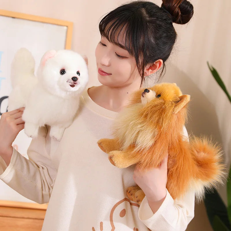 Pomeranian-Style Plush Dog | Braviixx