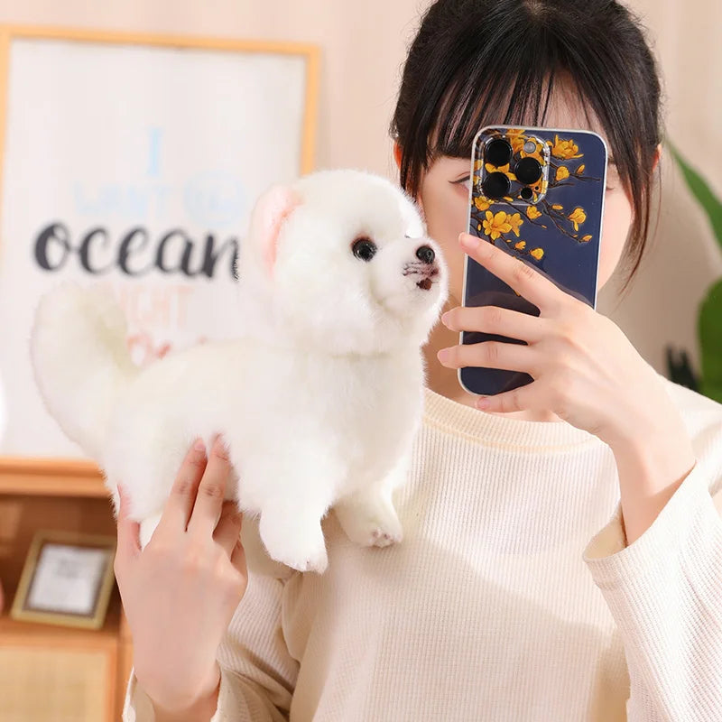 Pomeranian-Style Plush Dog | Braviixx