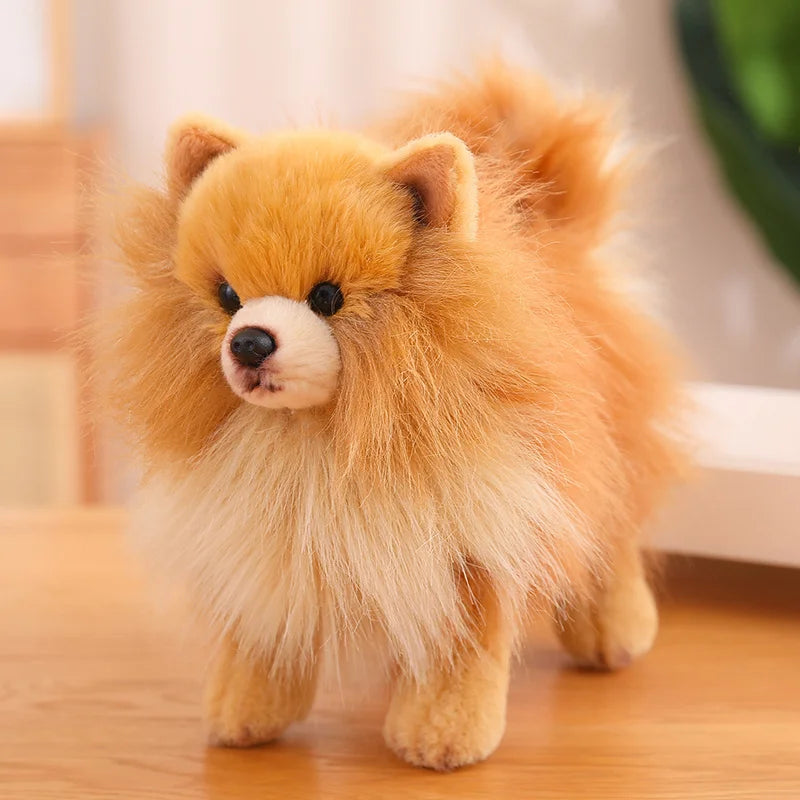 Pomeranian-Style Plush Dog | Braviixx