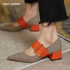 Mary Jane Shoes Woman Fashion 2026 Spring Brand Design Women Pumps High Heels Femme Pointed Toe Party Ladies Shoes Heels Women