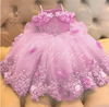 Girls' Lace Flower Girl Ball Gown | Sleeveless Party Dress | 3M–Child 14 | Braviixx