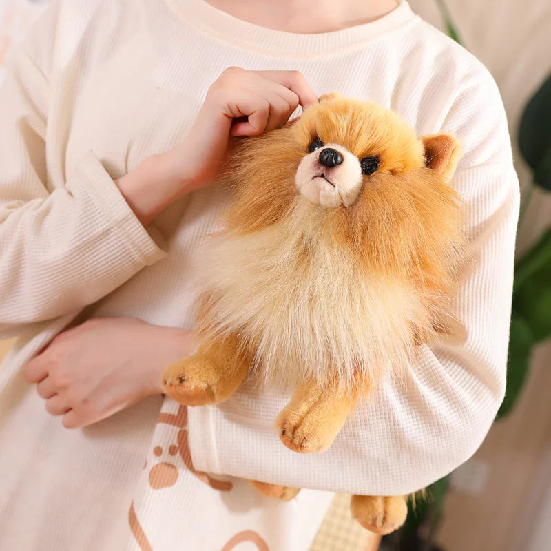 Pomeranian-Style Plush Dog | Braviixx