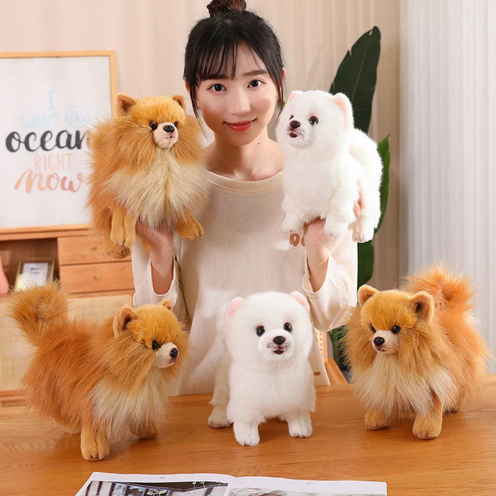 Pomeranian-Style Plush Dog | Braviixx