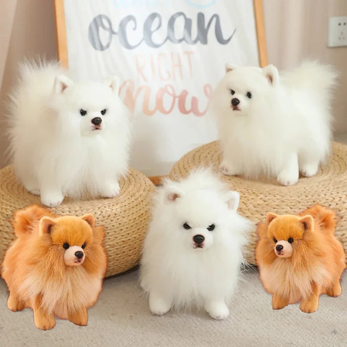Pomeranian-Style Plush Dog | Braviixx